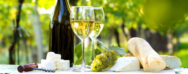 Wine tasting Bordeaux